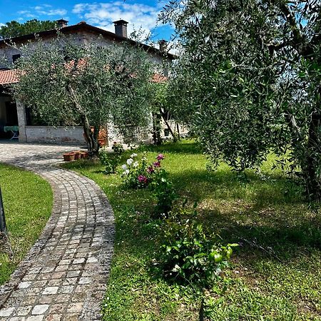 Bed and Breakfast La Bertinora Villa Verucchio Zewnętrze zdjęcie